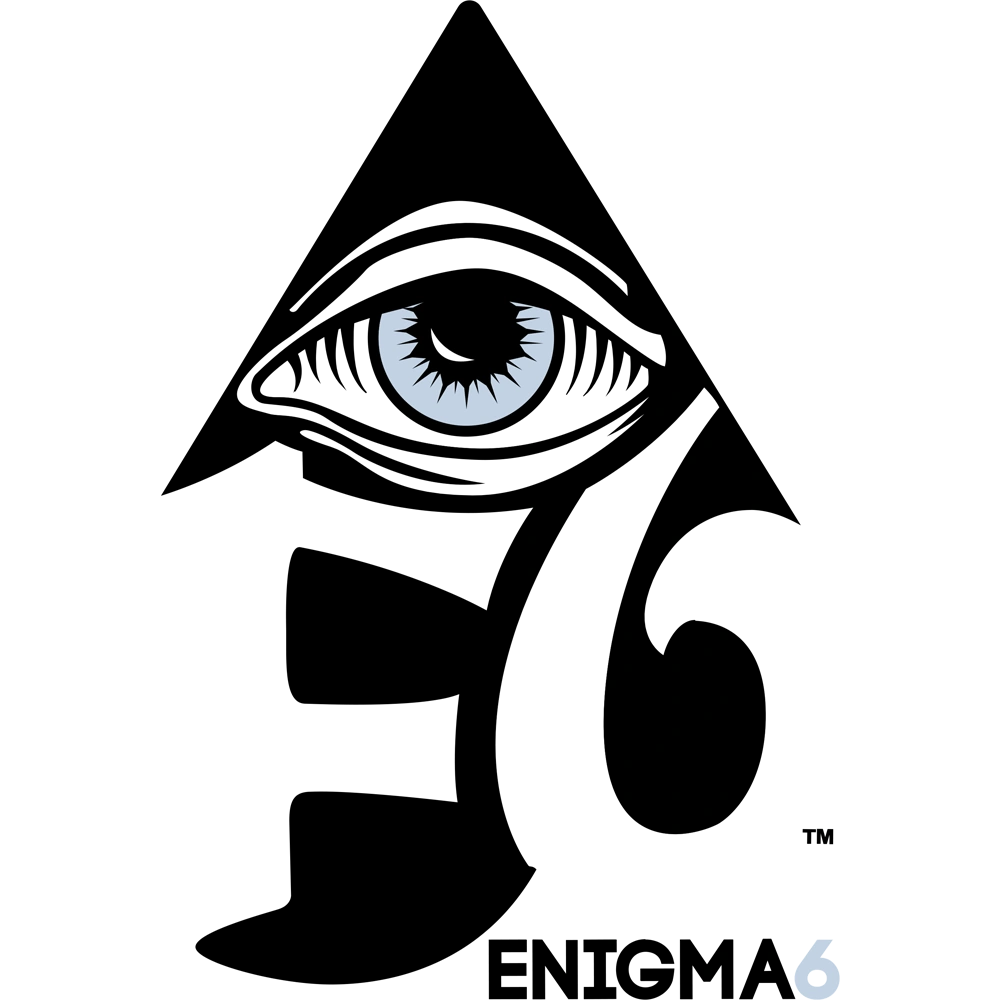 Enigma6 Group logo