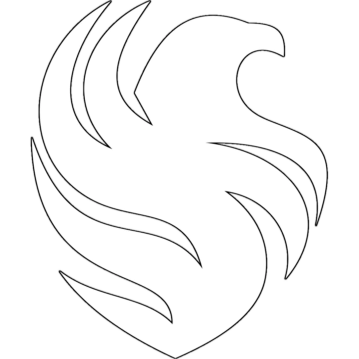 Falcons Academy White logo