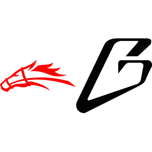 Stallions Bush logo