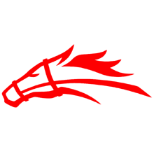 Stallions logo