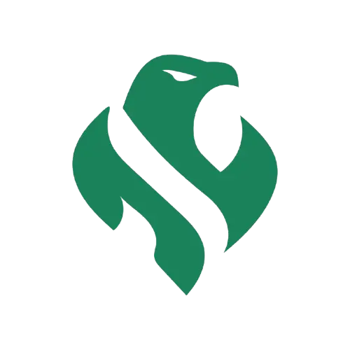 Riyadh Falcons BO7 Season Preview